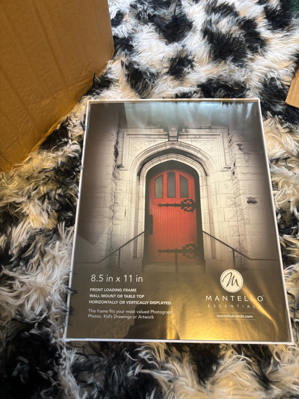 6 8.5x11 picture frames